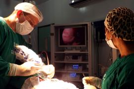neurocirurgia_hgvc2905