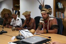 pleitosindigenas (2)