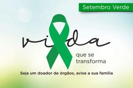 TRANSPLANTES