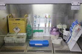 Laboratório estadual em Jequié inicia testes moleculares para Covid-19 (7)