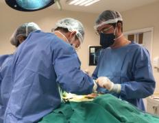 primeira cirurgia escoliose HEC