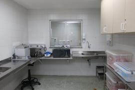 Inauguração do Banco de Leite na Maternidade José Maria - 17-11-2020 (6)