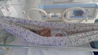 Redinhas garantem atendimento humanizado a prematuros em UTI de Itabuna