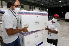 Bahia recebe nova remessa de vacinas contra Covid-19 (6)