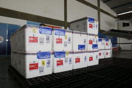 Chegada de vacinas contra Covid-19 (4)
