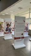 exposição (3)
