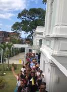 palifolia (3)