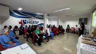 HGEFS (2)