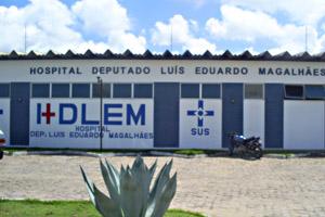 HDLEM