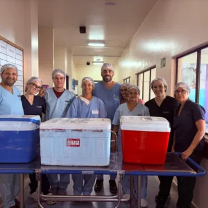 Hospital Regional Deputado Luís Eduardo Magalhães realiza primeira captação de múltiplos órgãos sob nova gestão