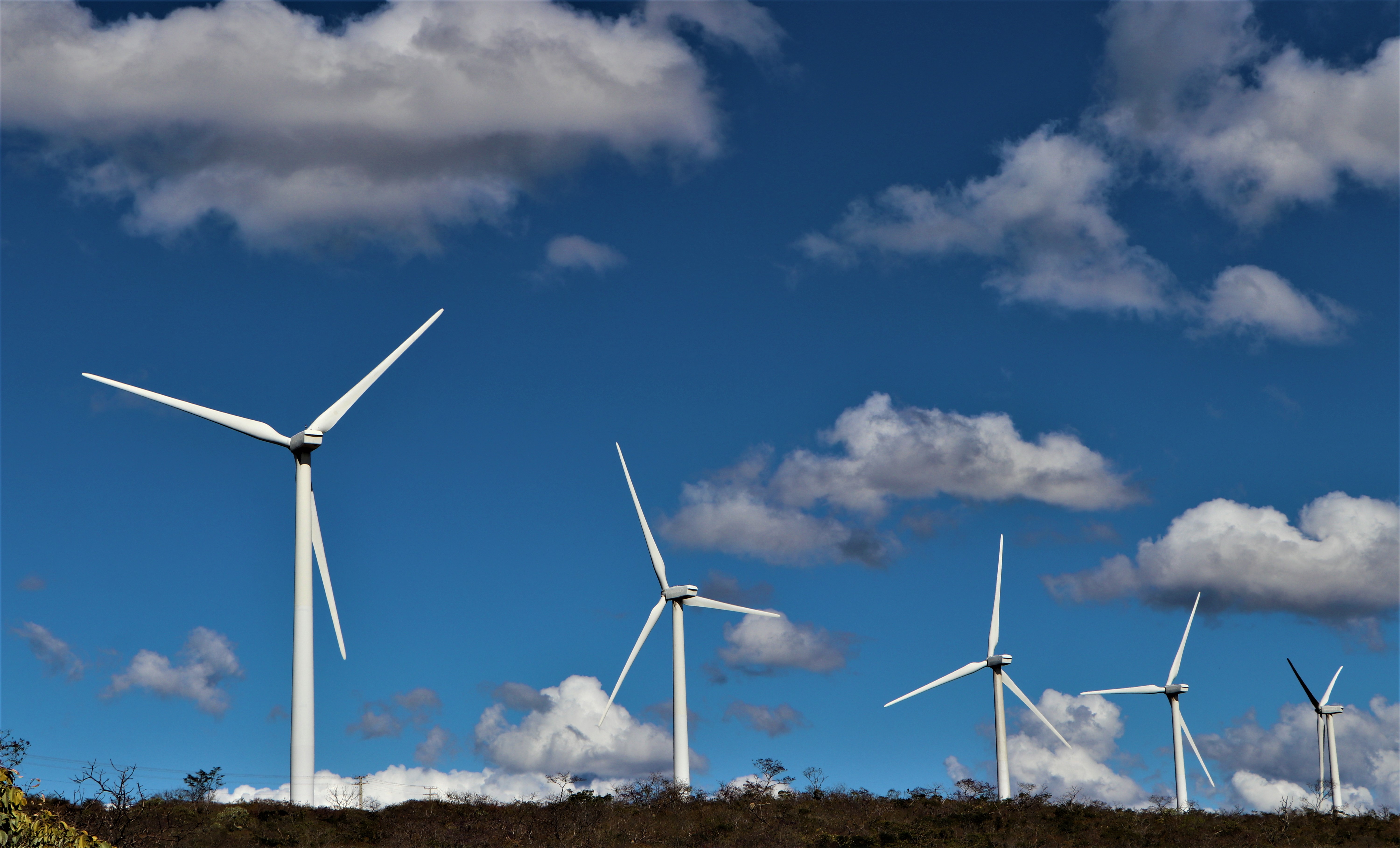 SDE comemora implantação da Política Estadual de Transição Energética na próxima quinta-feira (24)