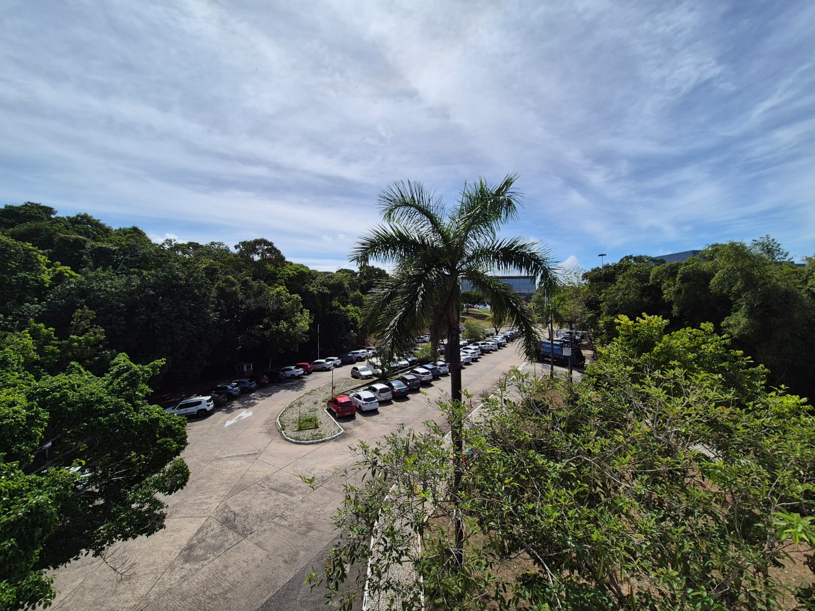 SDE lança Programa Carbono Neutro e lidera agenda ESG no setor público no país