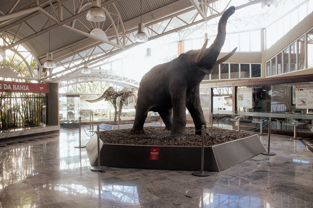 Programação de fevereiro: MGB mantém abertura às 10h