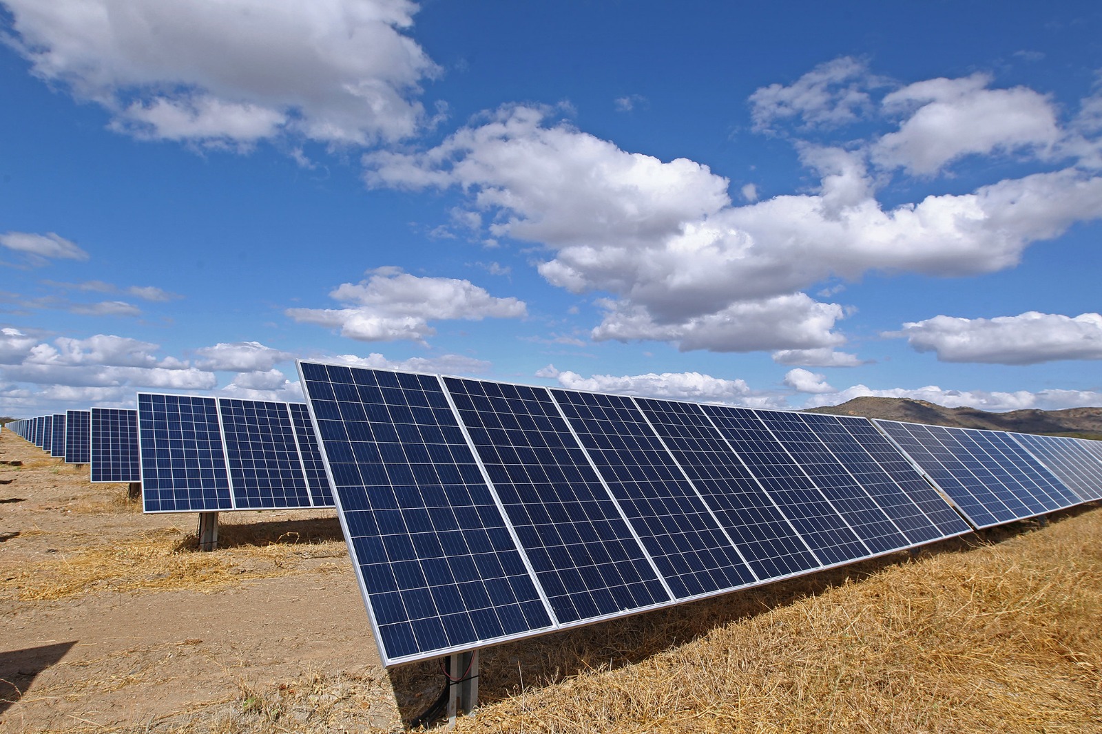 Dia Mundial do Sol: Bahia se destaca na transição energética 