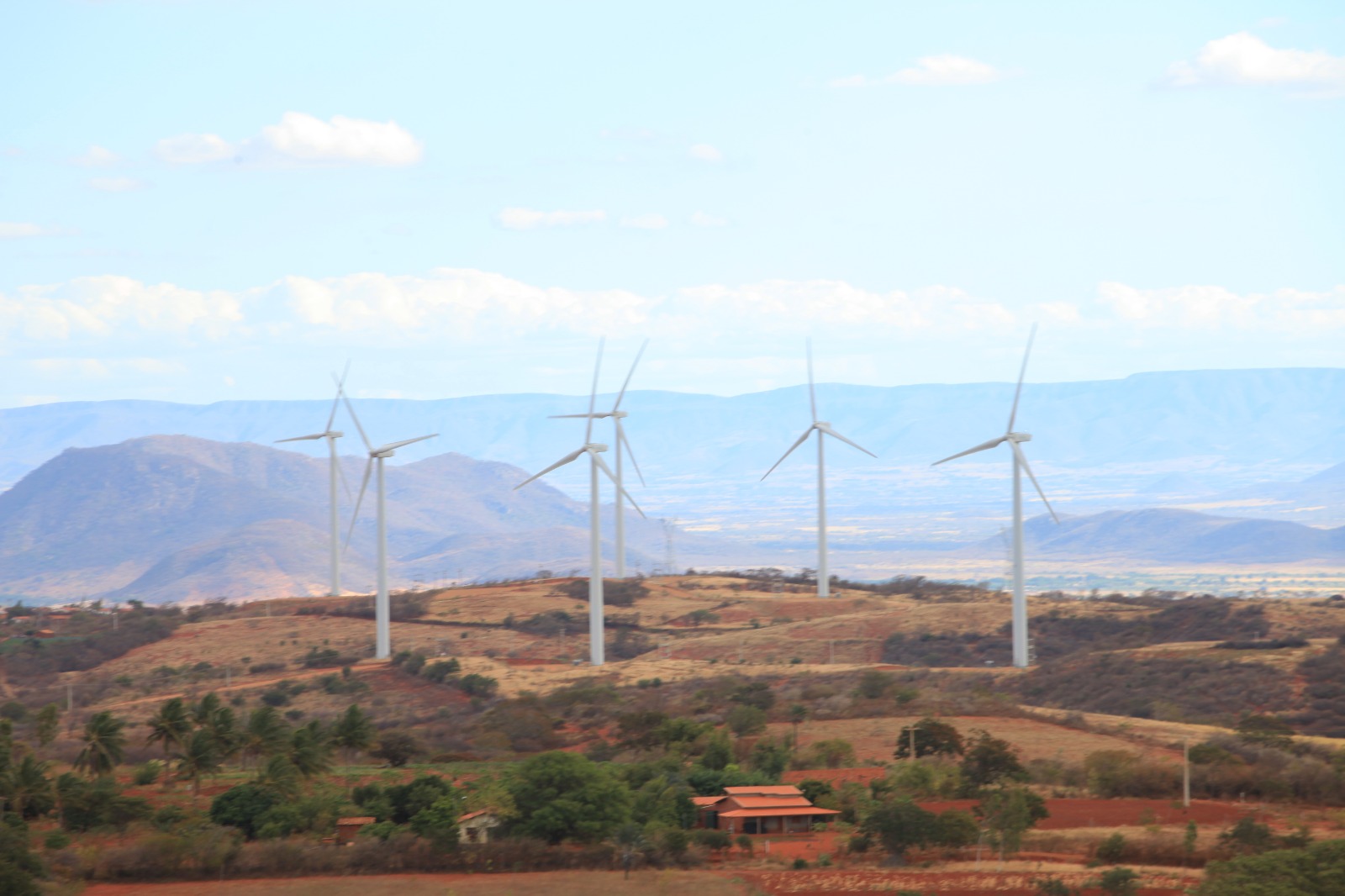 Dia Mundial do Vento destaca liderança da Bahia na geração de energia eólica
