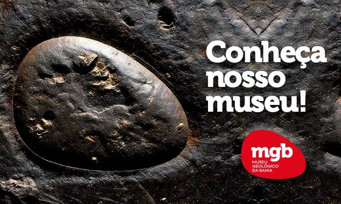 Museu Geológico da Bahia