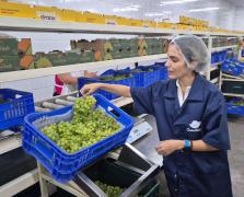 Grand Valle - créditos Marcos Braga/Ascom SDE