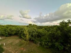 FOTOS CREDITOS FABIANE  (6).jpeg