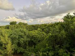 Foto Fabiane Pitta_SDE.jpeg