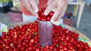 Reabertura Mercado do Ogunjá