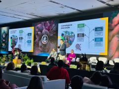 20250918 - Evento VP Nutricional - credito Divulgação VP Nutricional (4).jpeg