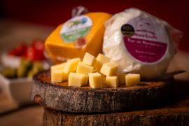 Festival do Queijo Artesanal da Bahia abre hoje em Salvador com sabores únicos e a alma do terroir baiano