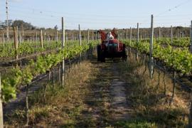 Em Morro do Chapéu, Governo do Estado lança oficialmente o projeto Visite a Bahia