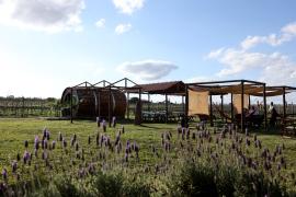 Em Morro do Chapéu, Governo do Estado lança oficialmente o projeto Visite a Bahia