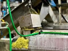 Fotos_Giulia Guimarães_Ascom SDE (3).jpeg