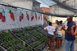 Parceria entre o Governo da Bahia e a Solar Coca-Cola entrega primeira horta sustentável em Feira de Santana