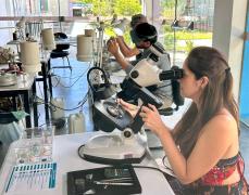 Centro Gemológico da Bahia leva Curso Itinerante de Lapidação à Juazeiro