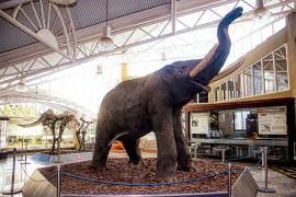 WhatsApp Image 2026-04-15 at 17.50.28.jpeg