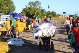 Feira de São João movimenta a Ceasa