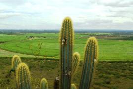 Agrovale_Foto Matheus Pereira GovBA