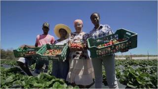 Foto_ReproduçãoPeterFrut (3)