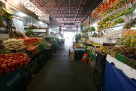 Foto Carla OrnelasSECOM (1)