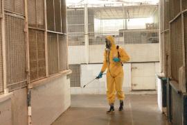 WhatsApp Image 2020-06-21 at 13.30.28