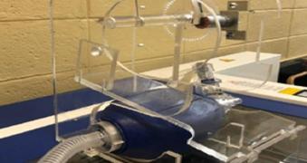 WhatsApp Image 2020-07-02 at 13.05.42