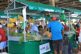 20200801 - Feira do Interior no Mercado de Paripe (1)