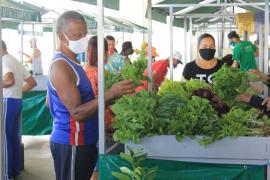 20200801 - Feira do Interior no Mercado de Paripe (4)