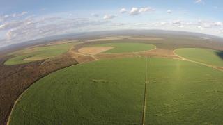 WhatsApp Image 2020-08-04 at 15.07.18