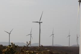 WhatsApp Image 2020-08-13 at 11.22.14