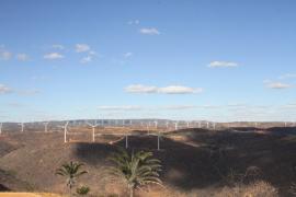 WhatsApp Image 2020-08-19 at 14.08.00