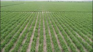 WhatsApp Image 2020-08-26 at 08.10.20 (1)