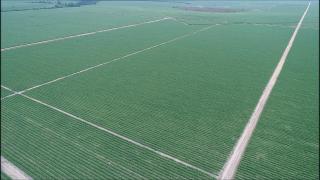 WhatsApp Image 2020-08-26 at 08.10.20 (2)