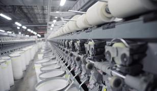 WhatsApp Image 2020-09-01 at 15.18.05