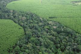 WhatsApp Image 2020-09-21 at 10.05.36