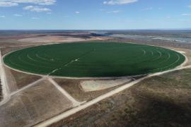 WhatsApp Image 2020-09-21 at 13.36.01