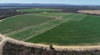 WhatsApp Image 2020-09-21 at 13.36.36