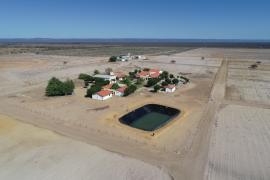 WhatsApp Image 2020-09-21 at 13.37.12